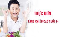 thuc-don-tang-chieu-cao-o-tuoi-14-hieu-qua