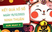 Soi cầu XSNT 15/12/2023​​​​​​​​​​​​​​​​​​​​​​​​​​​​​​​​​​​​​​​​​​​​​​​​​ chốt số tài lộc đài Ninh Thuận