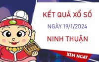 Nhận định XSNT 19/1/2024 chốt số may mắn Ninh Thuận