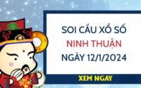 Soi cầu loto xổ số Ninh Thuận ngày 12/1/2024 thứ 6 hôm nay