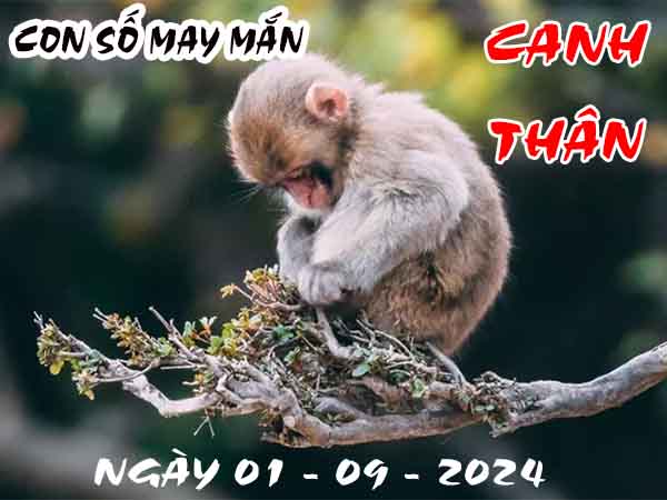 Nhận định con số may mắn tuổi Canh Thân ngày 1/9/2024 chủ nhật hôm nay