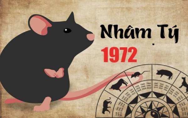 Số may mắn tuổi Nhâm Tý 13/2/2025 giúp tài lộc thăng hoa