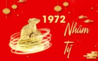 Tham khảo số may mắn tuổi Nhâm Tý