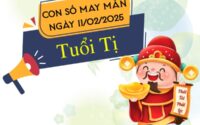 con số đại cát tuổi Tị 11/2/2025