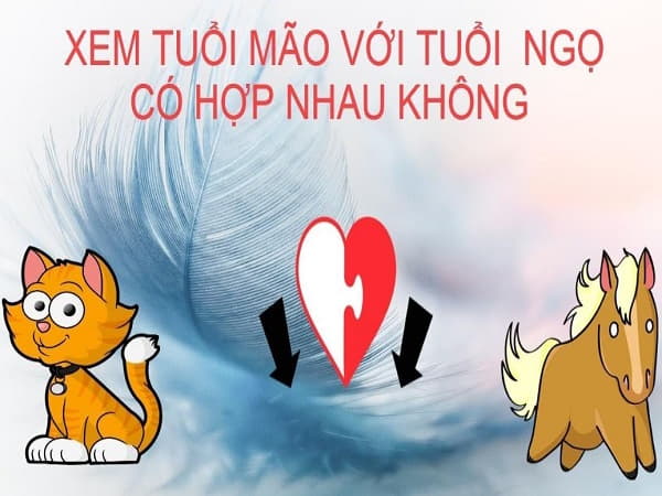 Tuổi Mão có hợp với tuổi Ngọ trong tình yêu, công việc không?