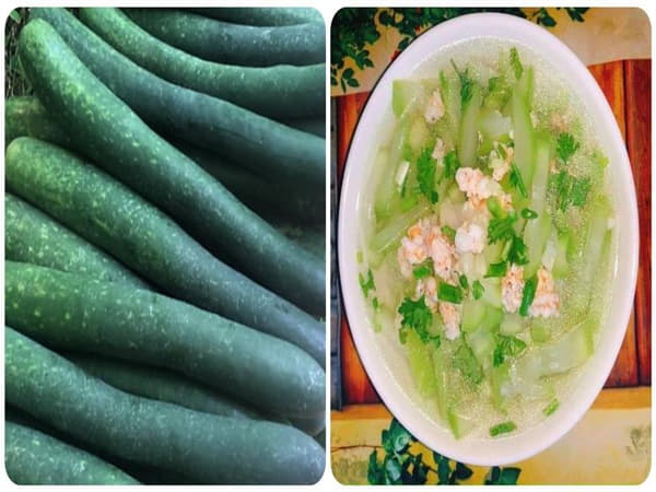 Đặc điểm dinh dưỡng của bí xanh
